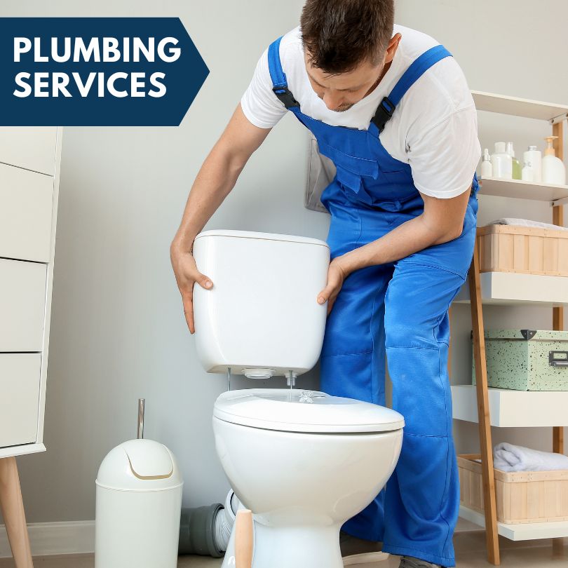 Plumbing Company in Hollandale, MN